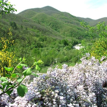 Вілла Agriturismo Il Giglio E La Rosa Montale  Екстер'єр фото