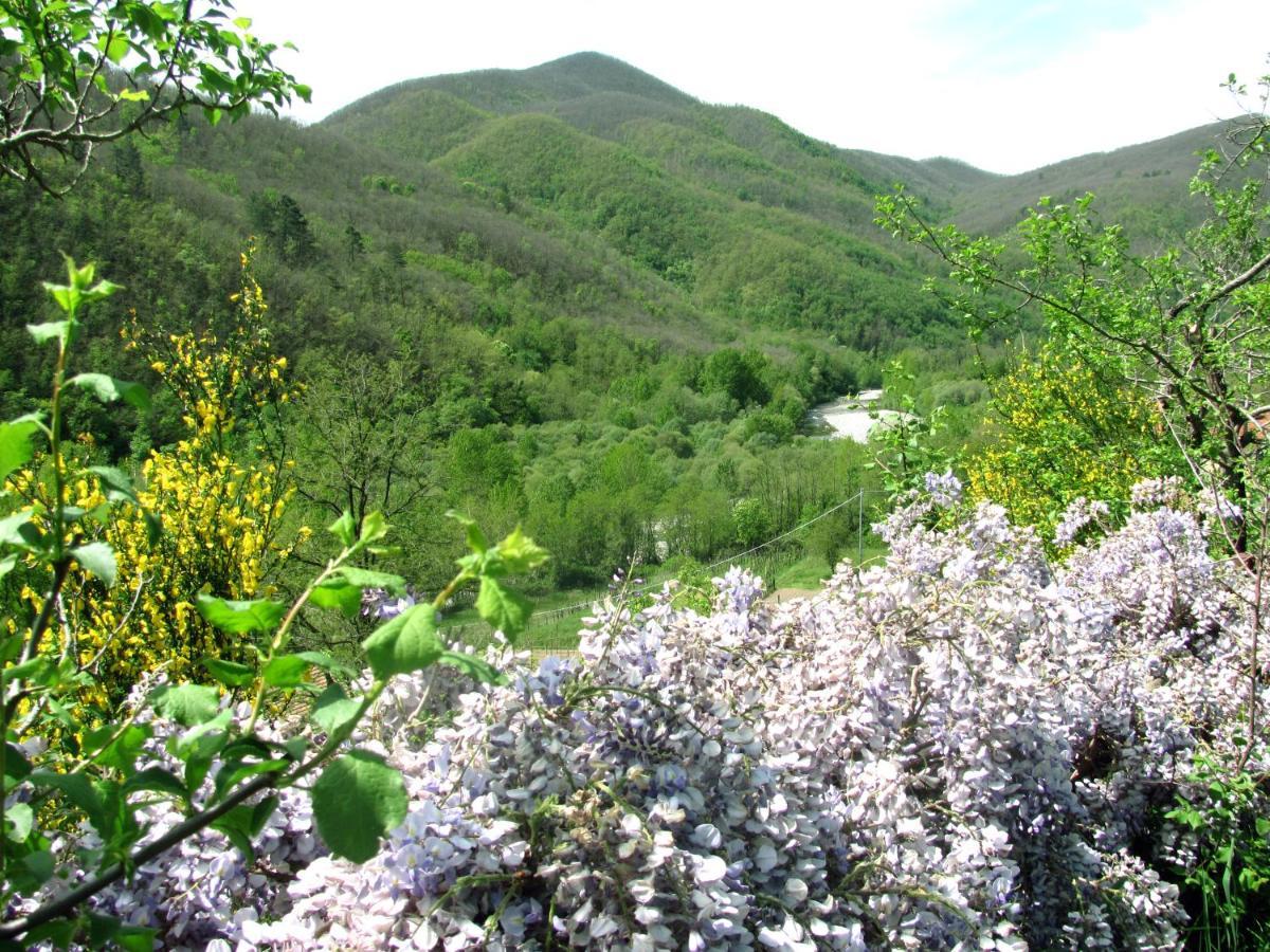 Вілла Agriturismo Il Giglio E La Rosa Montale  Екстер'єр фото